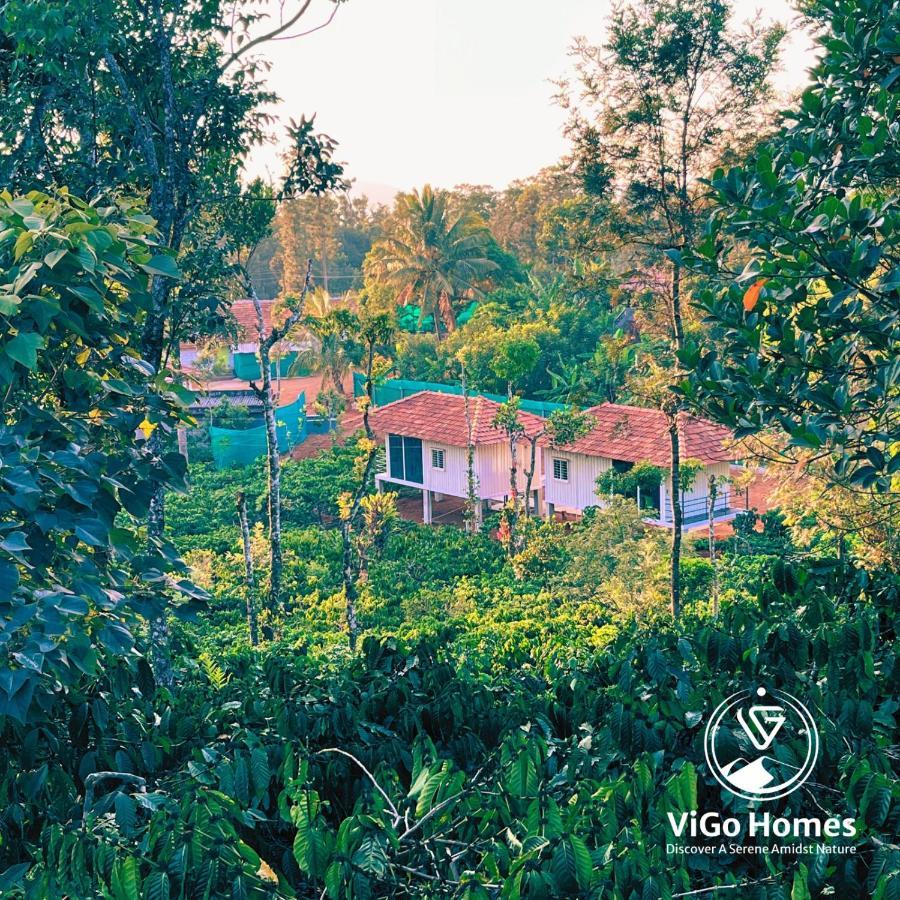 Vigo Homes サクルシュプール エクステリア 写真